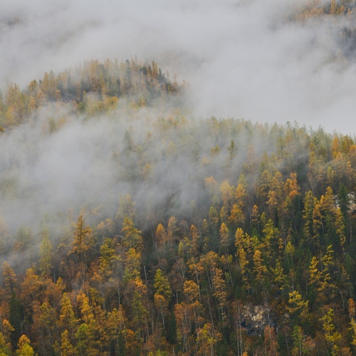 Photo #13792693