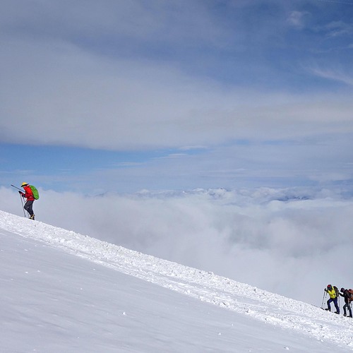 Photo #13792699