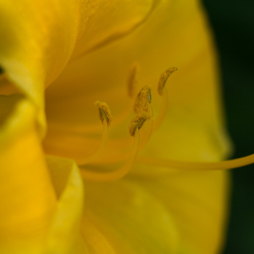 Photo #13792781