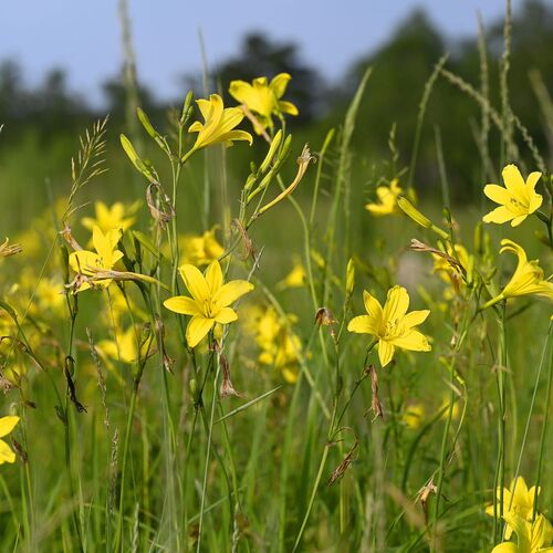 Photo #13792825