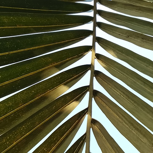 Photo #13792913