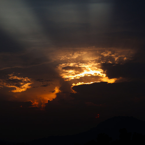 Photo #13792947