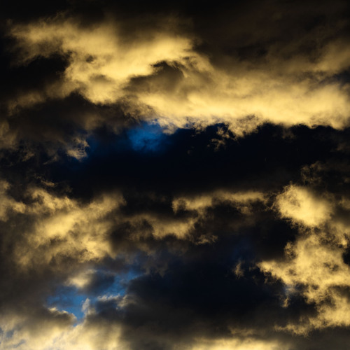 Photo #13792988