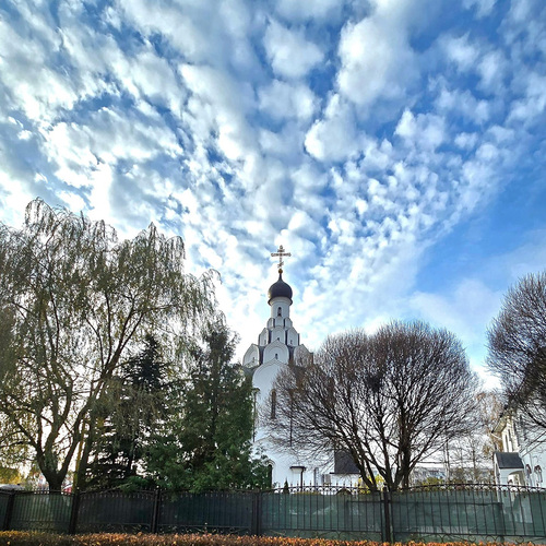 Photo #13793010