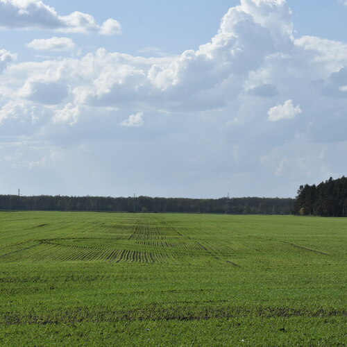 Photo #13793033