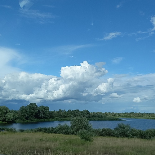 Photo #13793035