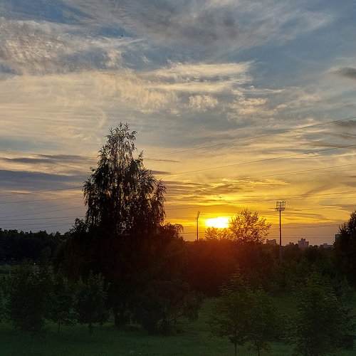 Photo #13793042