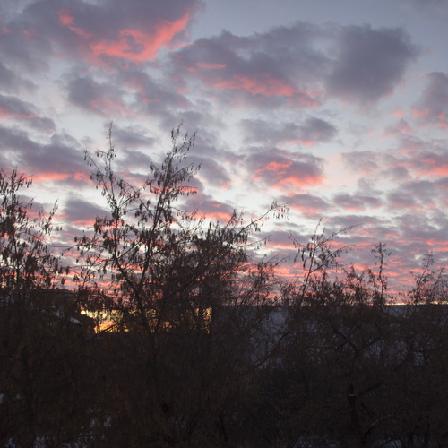 Photo #13793081
