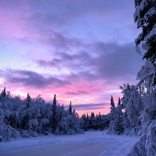 Photo #13793093