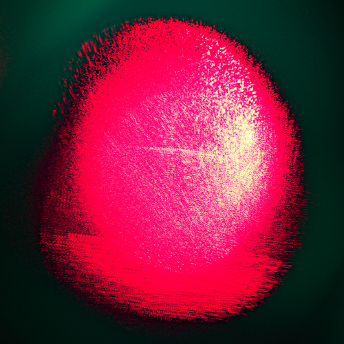Photo #13793144