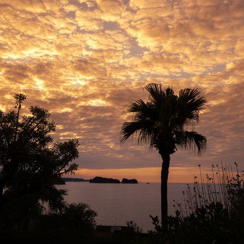 Photo #13793157
