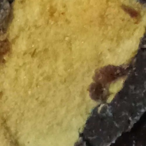 Tasteful fillings