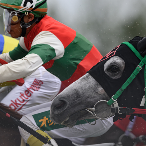 Photo #13793234