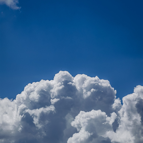 Photo #13793241
