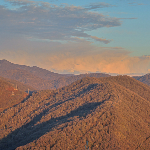Photo #13793254