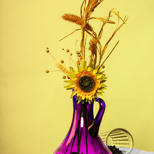 Photo #13793264