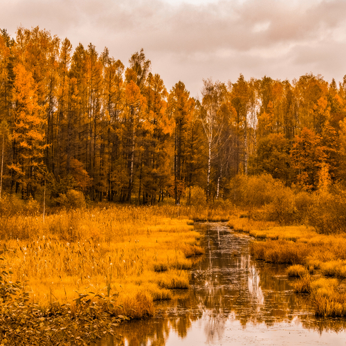 Photo #13793266