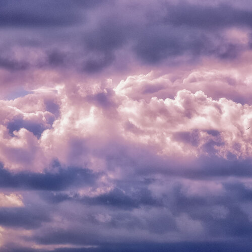 Photo #13793306