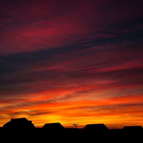 Photo #13793392