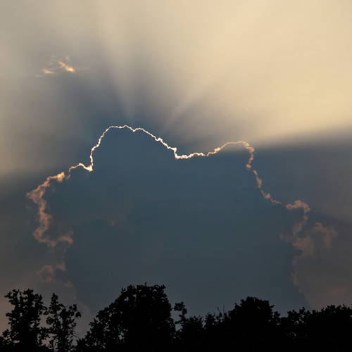 Photo #13793449
