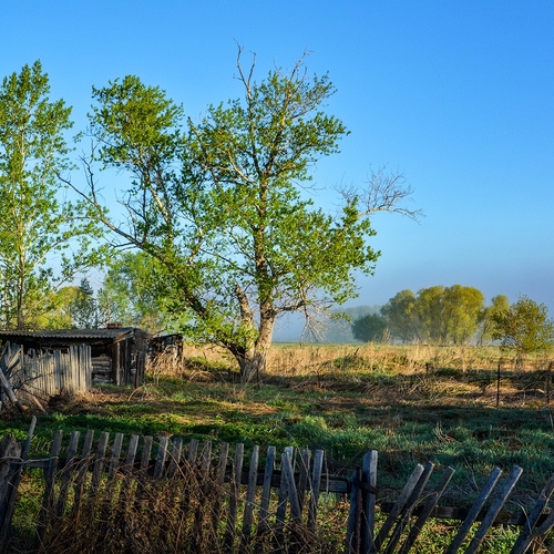 Photo #13793457
