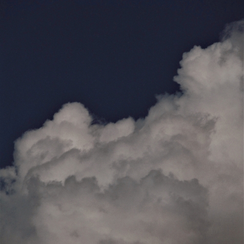 Photo #13793478