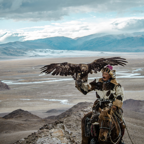 Photo #13793481