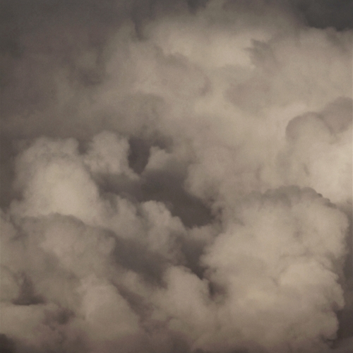 Photo #13793483