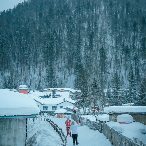 Photo #13793492