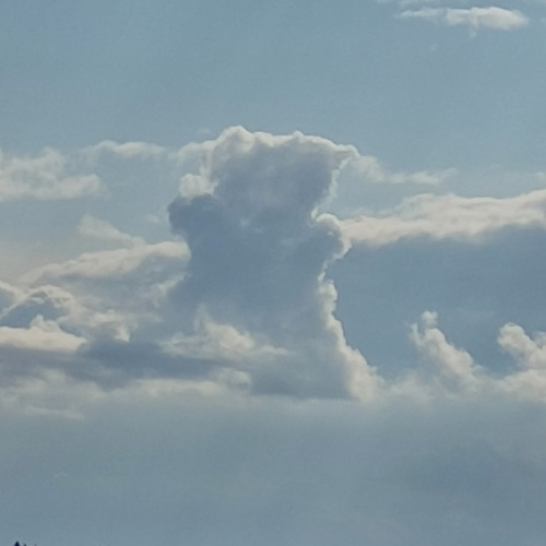 Photo #13793504