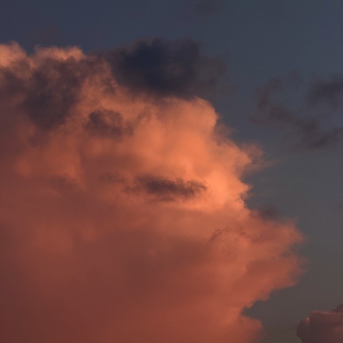 Photo #13793513