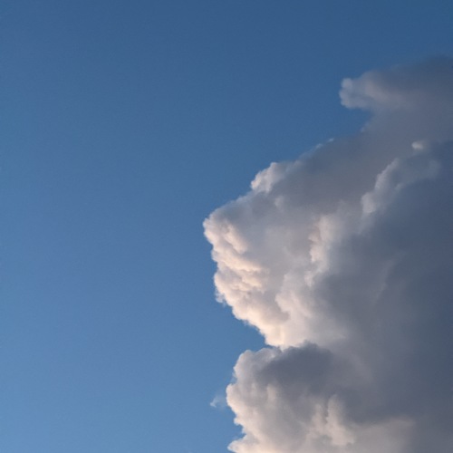 Photo #13793514