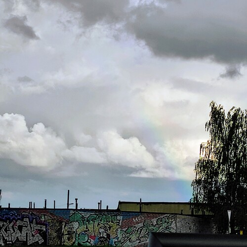 Photo #13793575