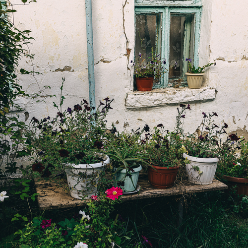 Photo #13793578