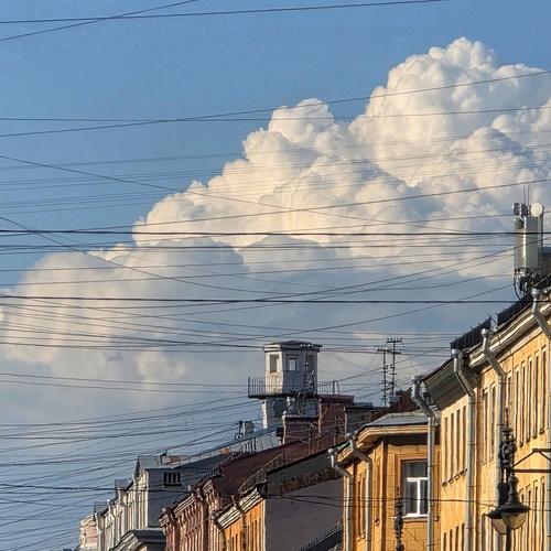 Photo #13793581