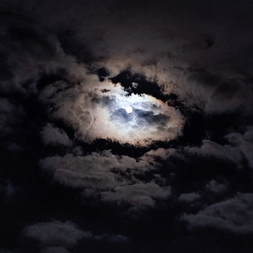 Photo #13793602
