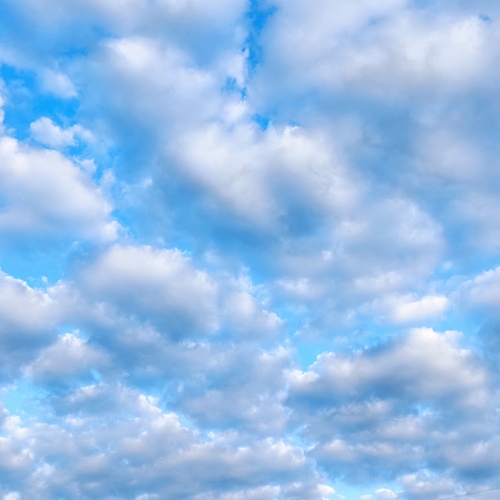 Photo #13793605