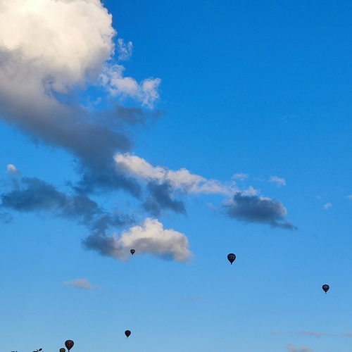 Photo #13793612