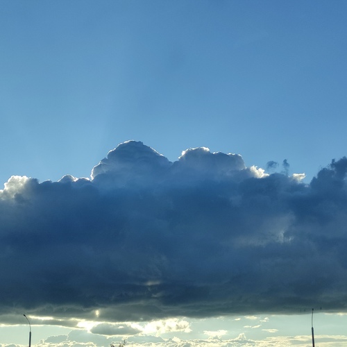 Photo #13793630