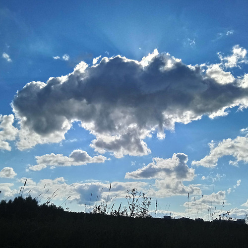 Photo #13793637