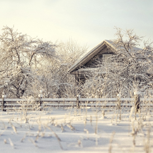 Photo #13793641