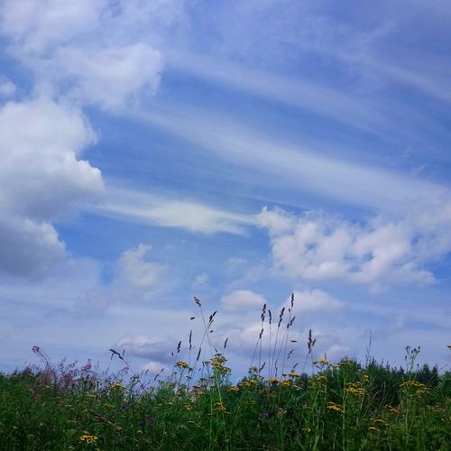Photo #13793658