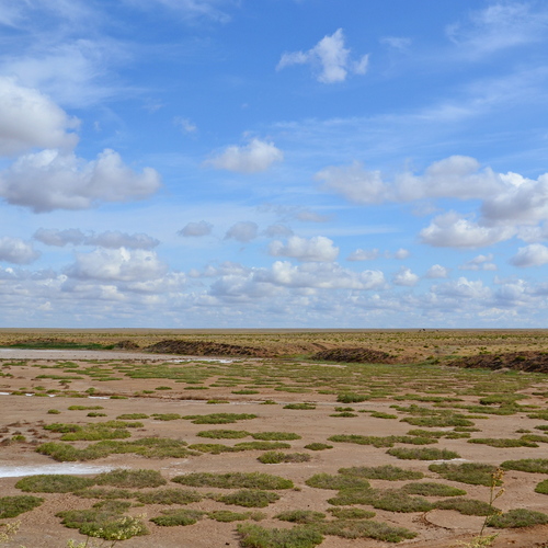 Photo #13793660