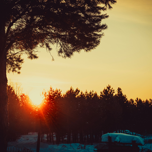 Photo #13793661