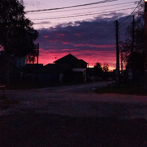 Photo #13793662