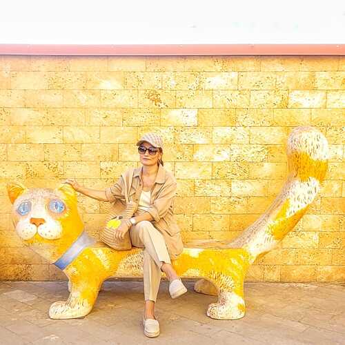 Photo #13793663
