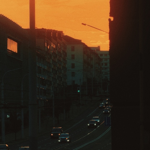 Photo #13793681