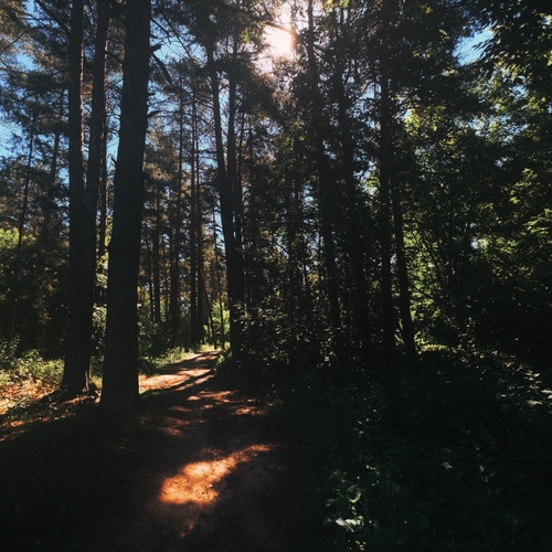 Photo #13793690