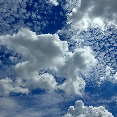 Photo #13793728