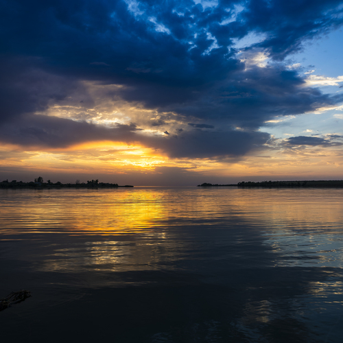 Photo #13793754